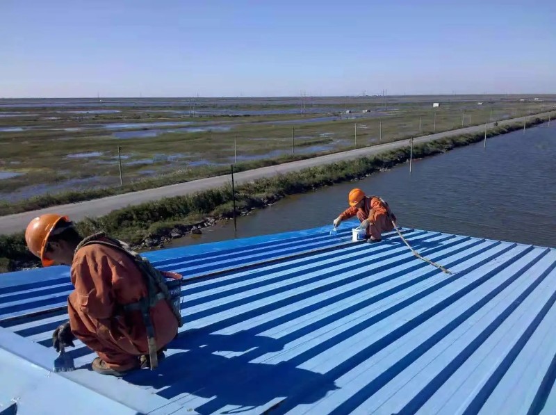 唐河彩钢瓦屋面防腐翻新